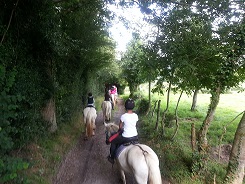 Les chevaux de Marolles