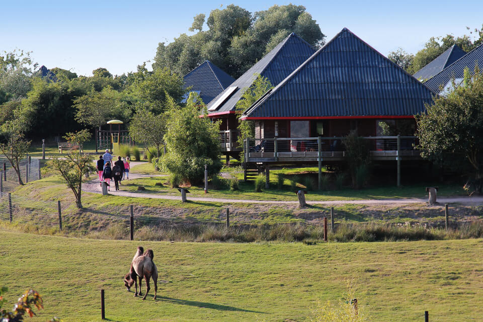 cerza safari lodge tui