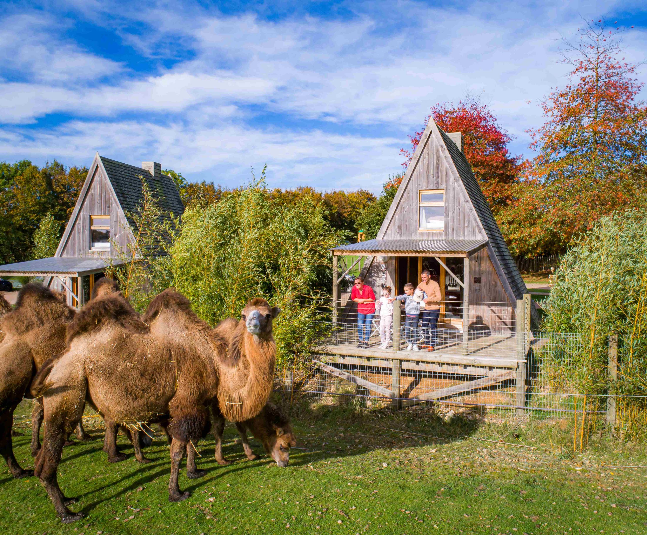 parc safari cerza